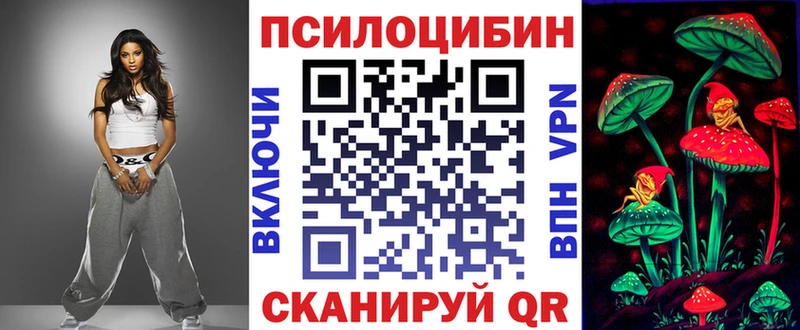 купить наркоту  Катав-Ивановск  гидра зеркало  Галлюциногенные грибы MAGIC MUSHROOMS 